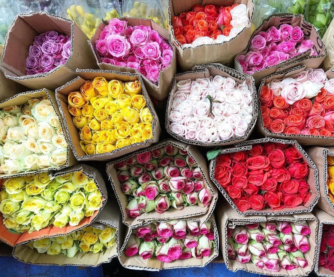 Ho Thi Ky flower market with various types of flowers